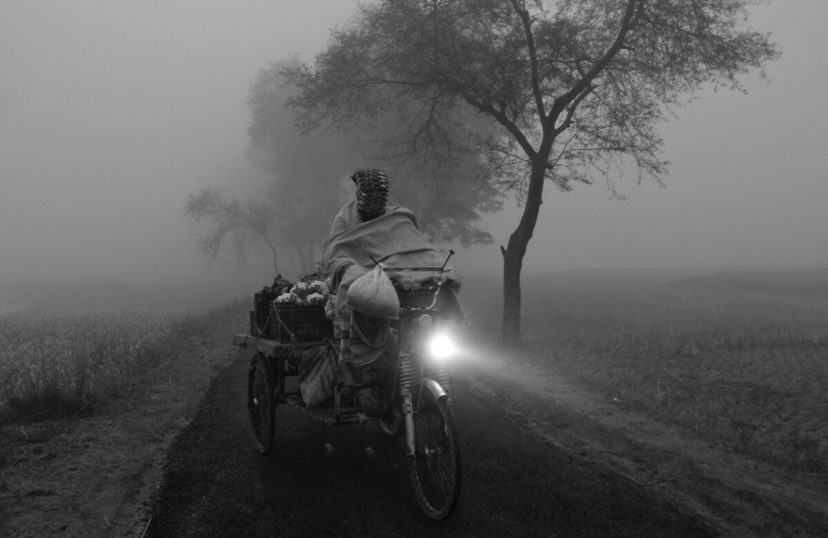 Stories: The Unseen Fuel of Our Lives