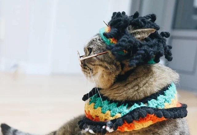 Celebrating World Cat Day: The Unseen Heroes in Our Lives